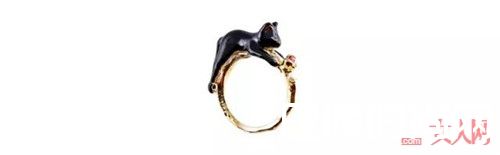 日本 Kaza 动物系列戒指_哪些单品能让你精致又时髦？