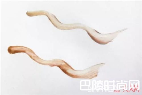 Canmake 1day染眉膏_Canmake要出新品啦！价格真的超便宜！