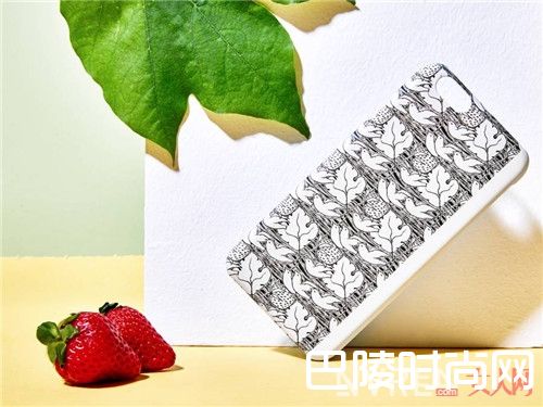 比翼双飞介绍_如果将200年前的大作变成手机壳会不会惊艳到你