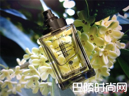 The Pour Un Ete芳香香型绿色调的女用香水简介_好闻又小众的香水推荐：26款好闻又小众的香水全部推荐给你！