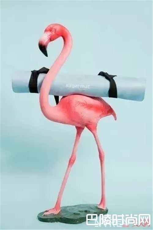 SugarMat瑜伽垫_这些高颜值的专业级配饰 让流汗变成一种乐趣!