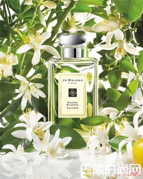女性在职场中使用祖马龙 橙花给人什么感觉_职场女性用香攻略：刚毕业的你，别错过这份香水榜单！