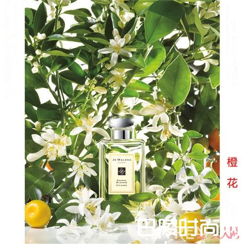 女性在职场中使用祖马龙 橙花给人什么感觉_职场女性用香攻略：刚毕业的你，别错过这份香水榜单！