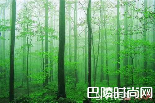 水生调香水适合夏天使用吗_职场女性用香攻略：刚毕业的你，别错过这份香水榜单！