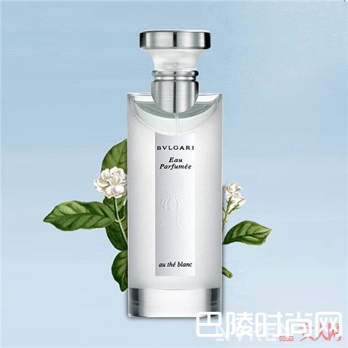 宝格丽 白茶男士香水 简介_初入职场的男生选择哪种香水好？这6款香水适合职场新人吗？