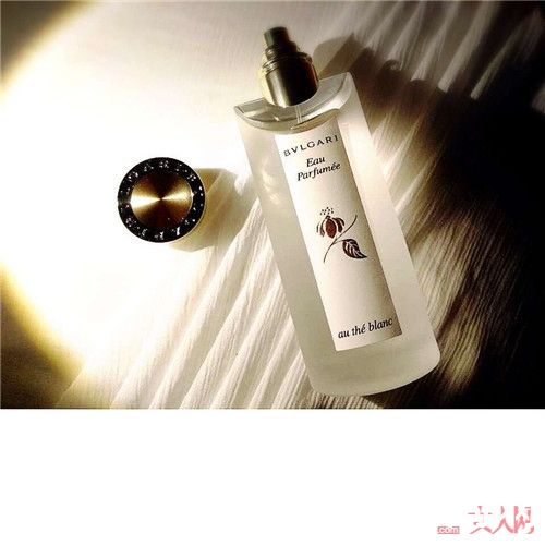 宝格丽 白茶男士香水 简介_初入职场的男生选择哪种香水好？这6款香水适合职场新人吗？