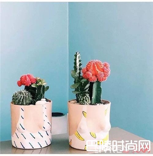 Grouppartner陶土花盆介绍_不好好做花瓶 长这样有点小过分了