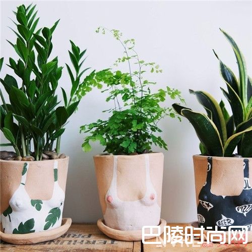 Grouppartner陶土花盆介绍_不好好做花瓶 长这样有点小过分了