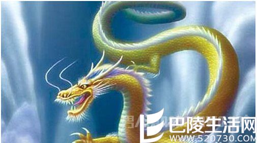 真的有龙的存在吗