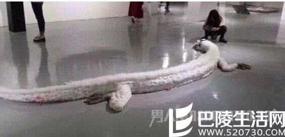 世界上真的会有龙吗