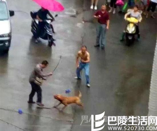 狗直接扑倒主人撕咬