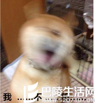 炒作也是玩一玩啦 炒作也是玩一玩啦