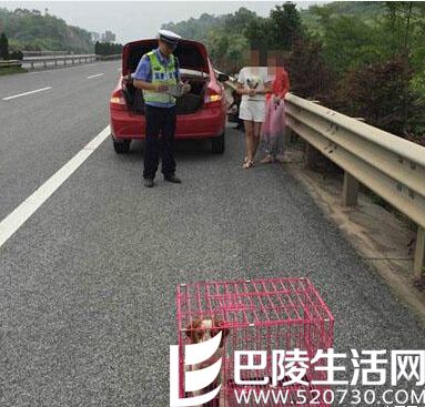 小轿车的司机路上爆胎抛锚 小轿车的司机路上爆胎抛锚