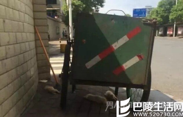 　事发现场的环卫车