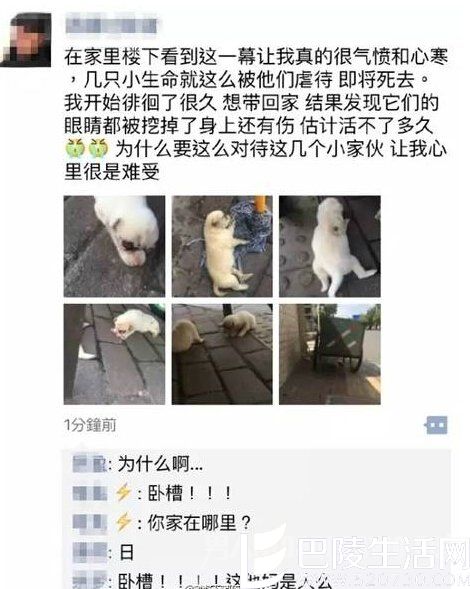 虐狗行为遭到了人们的一致谴责