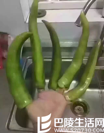 【叽歪哥 V0.127】快播涉黄案宣判 网友:快播不哭站起来继续撸