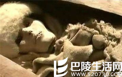 【叽歪哥 V0.127】快播涉黄案宣判 网友:快播不哭站起来继续撸