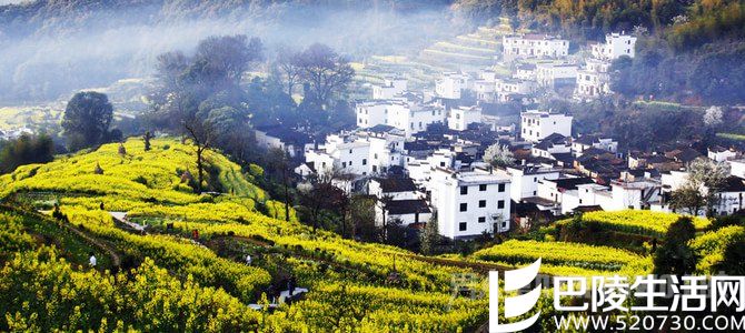 夜狸猫事件 夜狸猫事件