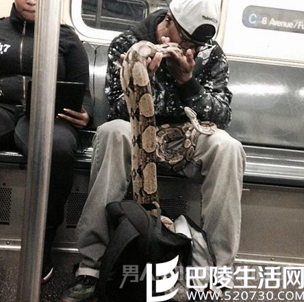 带蛇坐地铁