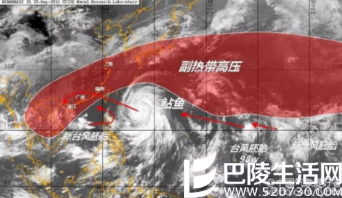 18号台风“暹芭” 18号台风“暹芭”