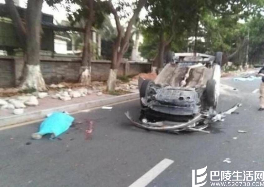 玩手机开车也很危险