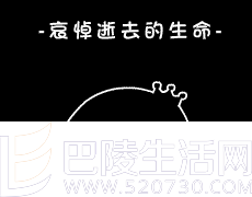 表示同情 表示同情