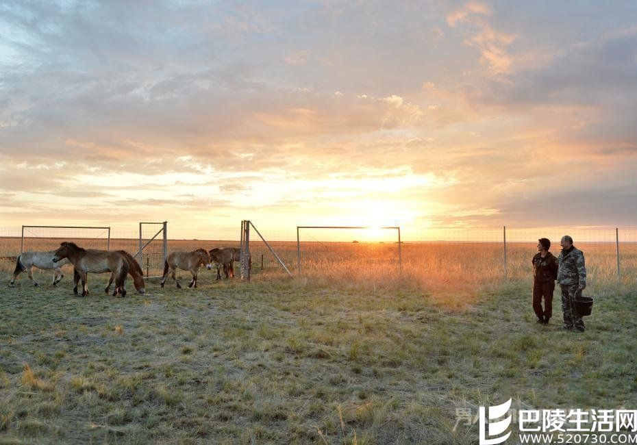 俄罗斯总统普京 俄罗斯总统普京