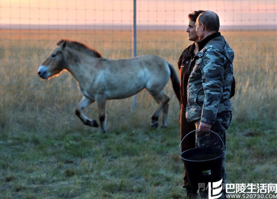 俄罗斯总统普京访当地马自然保护区 俄罗斯总统普京访当地马自然保护区