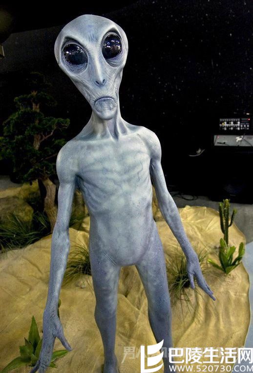 黄延秋事件是真的吗