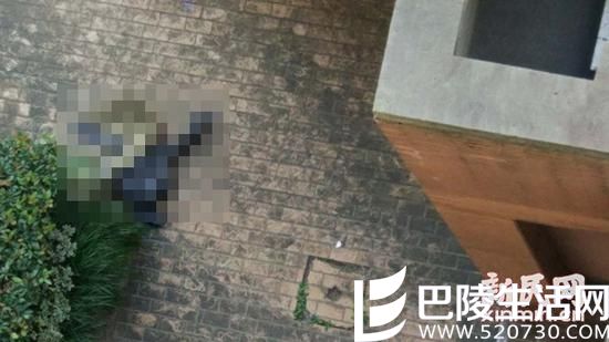 女子从复旦大学文科楼11层坠亡