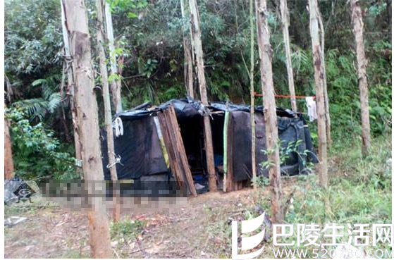 一夜建起卖淫据点 一夜建起卖淫据点