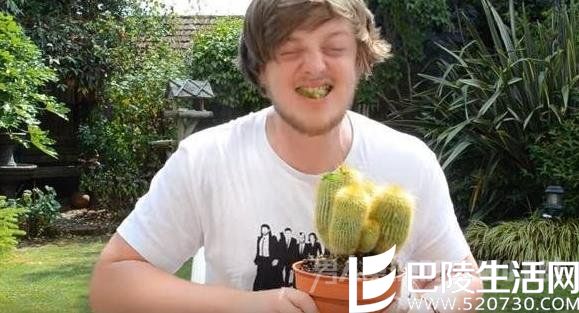 直播吃仙人掌图