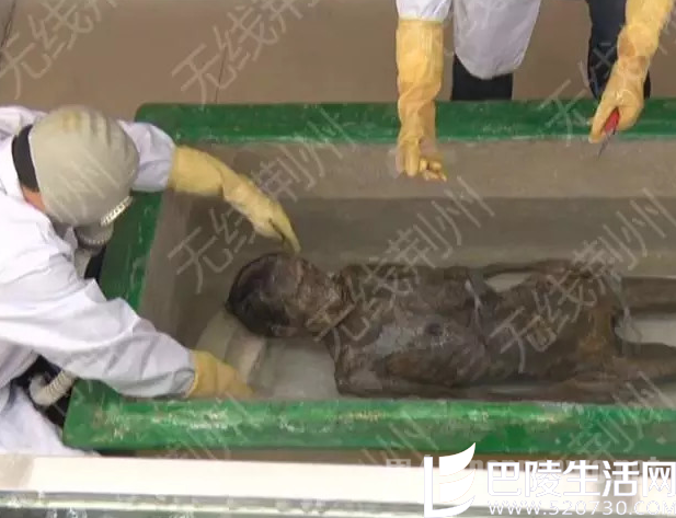 60老妪容貌清晰身份成迷