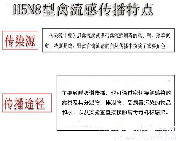 H5N8型禽流感病毒