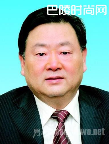 陕西原国土厅长王登记