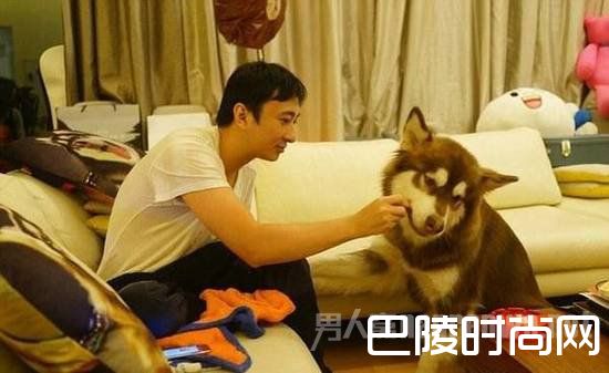 王思聪逗狗 王思聪逗狗