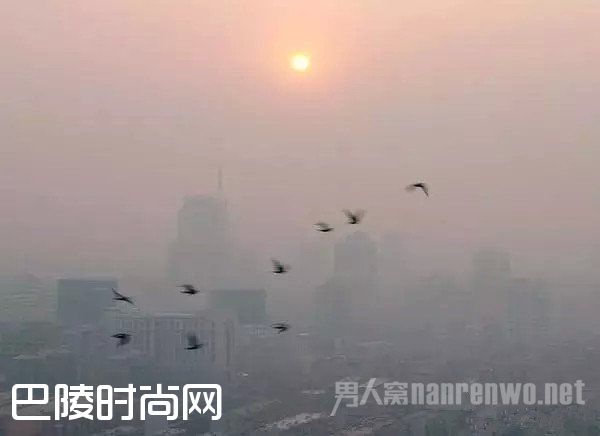 大雾红色预警 大雾红色预警