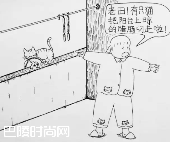 高丽丽是谁个人资料 漫画博主@郊县天王老田漫画完整版(2)