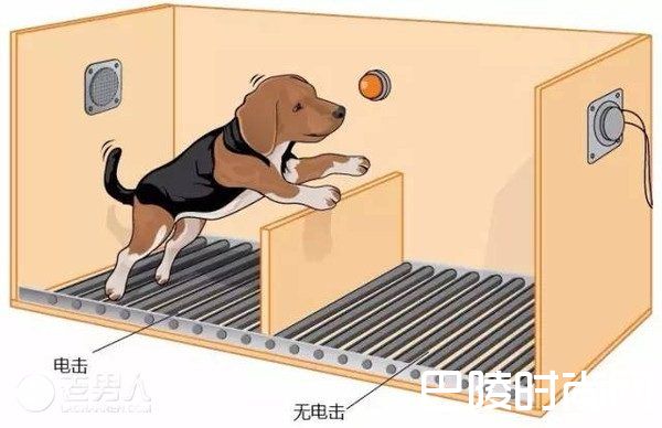 习得性无助是什么