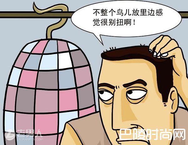 鸟笼逻辑是什么