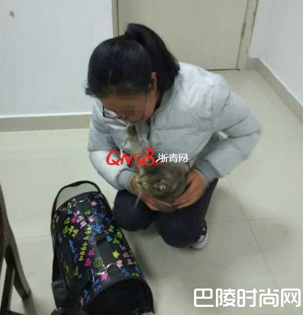 宠物猫暂时留在车站。