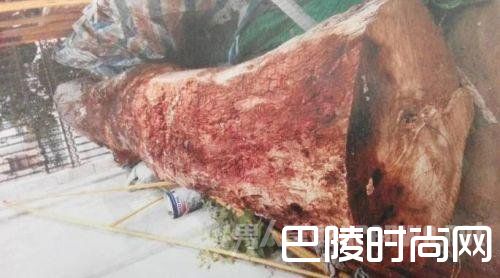 烂木头卖出168万