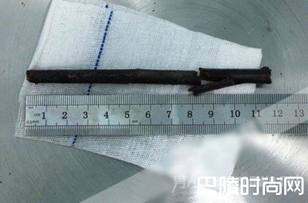 约9厘米长的树枝