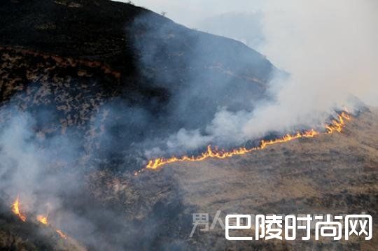 道孚山火现场 道孚山火现场