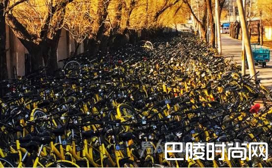 待维修的小黄车