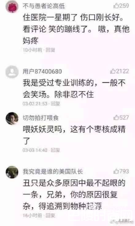 网友评论