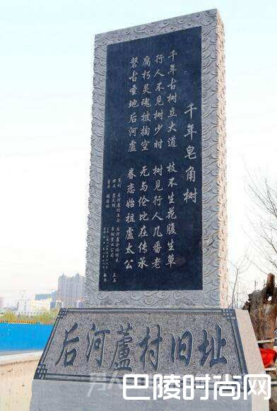 村民为古树立墓碑 村民为古树立石碑