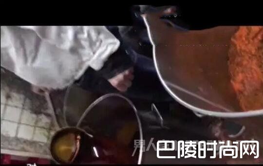 厨师在后厨打捞潲水油
