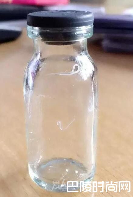 8条3厘米长的活虫