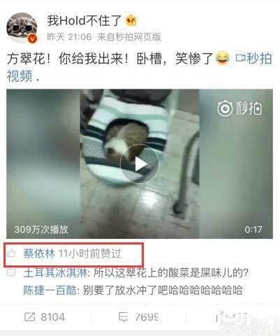 猫躲马桶睡觉气炸主人